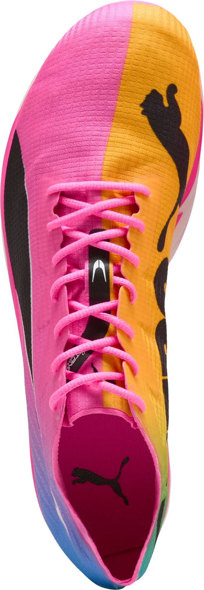 Nitro Elite 3 Middle Distance Running Spikes - Pink