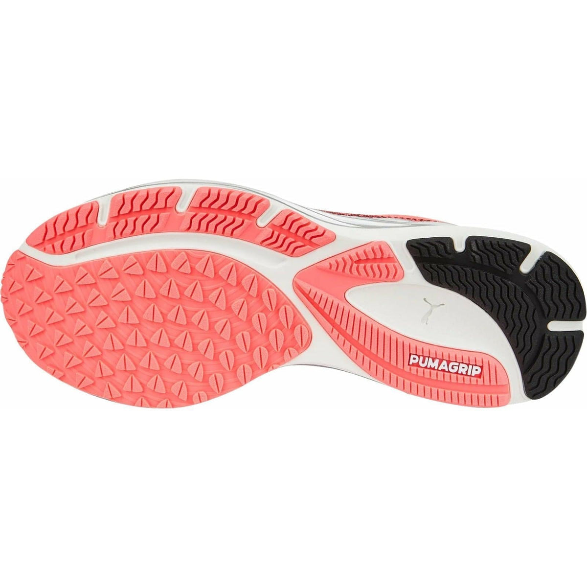 Women's Velocity Nitro 2 Road Running Shoes - Pink