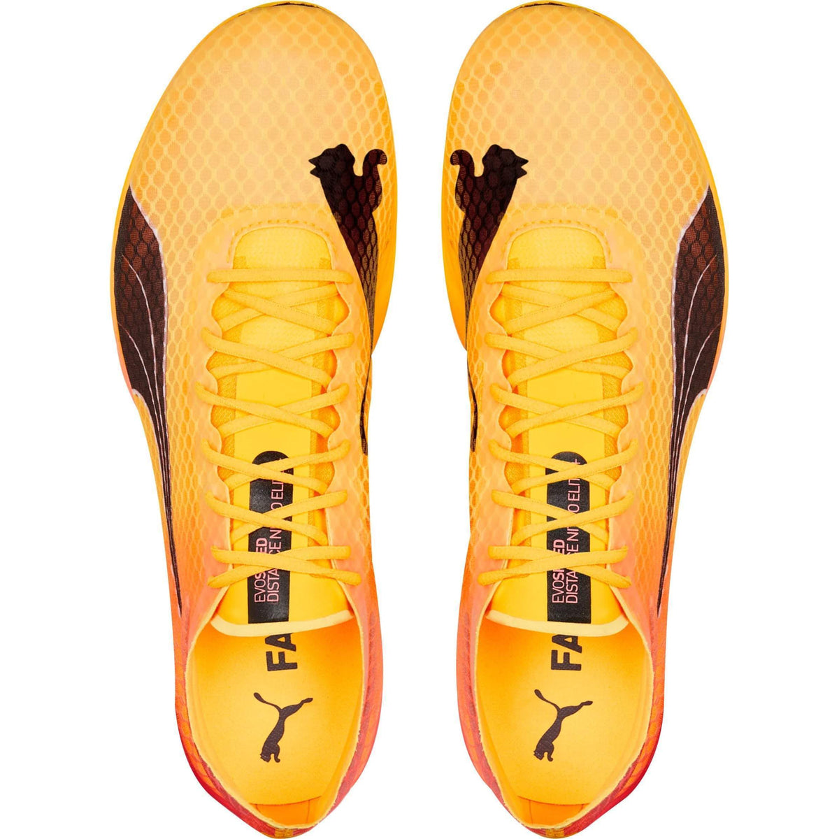 evoSpeed Distance Nitro Elite + 2 Running Spikes - Orange