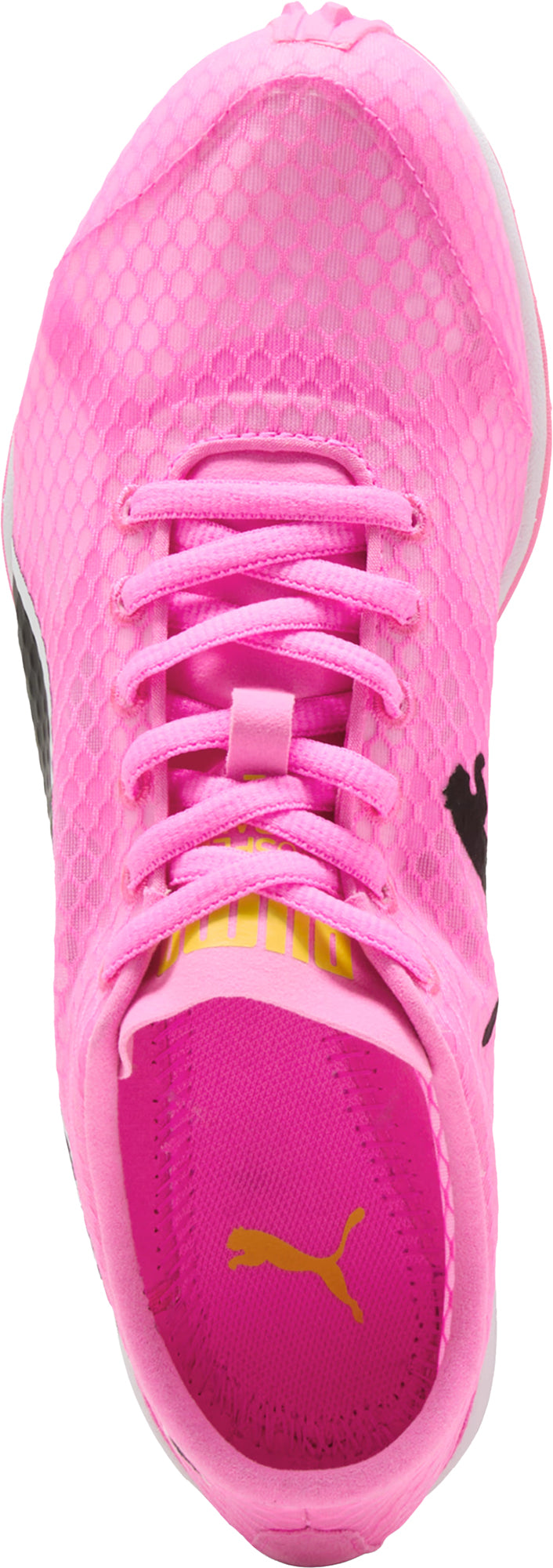 evoSpeed Haraka 8 Cross Country Spikes - Pink