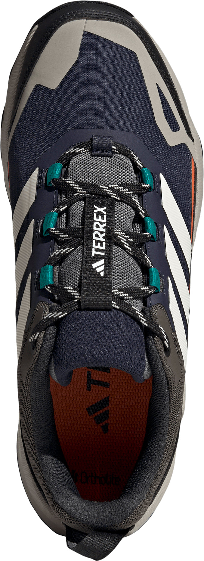 Men's Terrex Skychaser AX5 GORE-TEX Walking Shoes - Blue